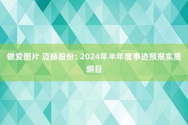 做爱图片 迈赫股份: 2024年半年度事迹预报实质纲目