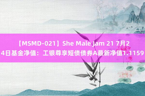 【MSMD-021】She Male Jam 21 7月24日基金净值：工银尊享短债债券A最新净值1.1159