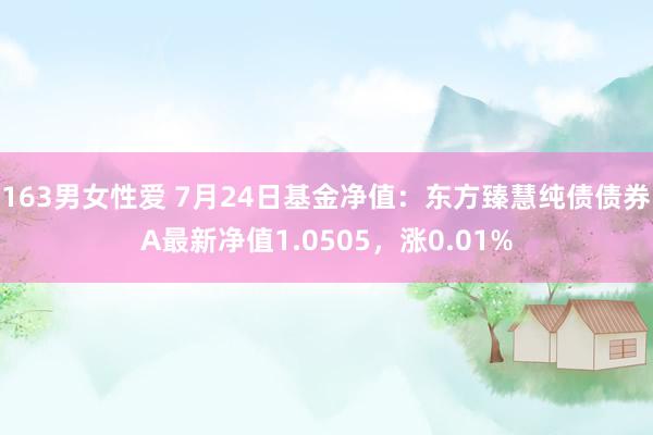 163男女性爱 7月24日基金净值：东方臻慧纯债债券A最新净值1.0505，涨0.01%