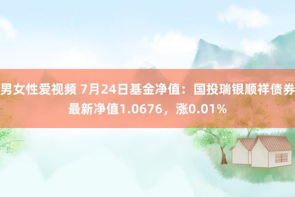 男女性爱视频 7月24日基金净值：国投瑞银顺祥债券最新净值1.0676，涨0.01%