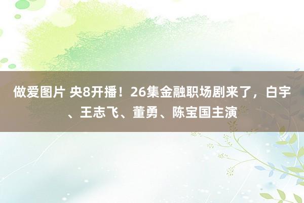 做爱图片 央8开播！26集金融职场剧来了，白宇、王志飞、董勇、陈宝国主演