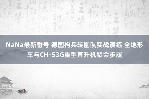 NaNa最新番号 德国构兵转圜队实战演练 全地形车与CH-53G重型直升机聚会步履