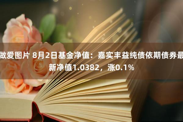 做爱图片 8月2日基金净值：嘉实丰益纯债依期债券最新净值1.0382，涨0.1%