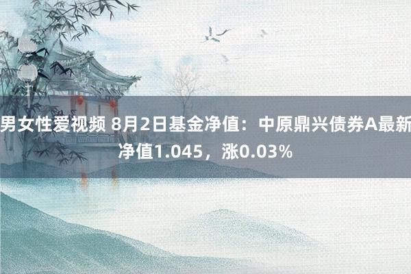 男女性爱视频 8月2日基金净值：中原鼎兴债券A最新净值1.045，涨0.03%