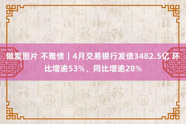 做爱图片 不雅债｜4月交易银行发债3482.5亿 环比增逾53%、同比增逾28%