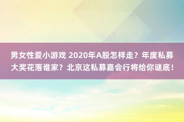 男女性爱小游戏 2020年A股怎样走？年度私募大奖花落谁家？北京这私募嘉会行将给你谜底！