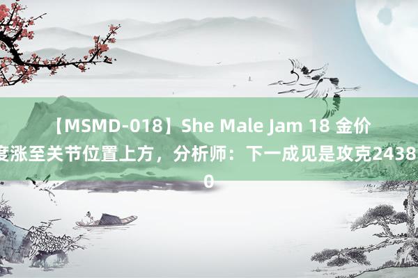 【MSMD-018】She Male Jam 18 金价一度涨至关节位置上方，分析师：下一成见是攻克2438.80