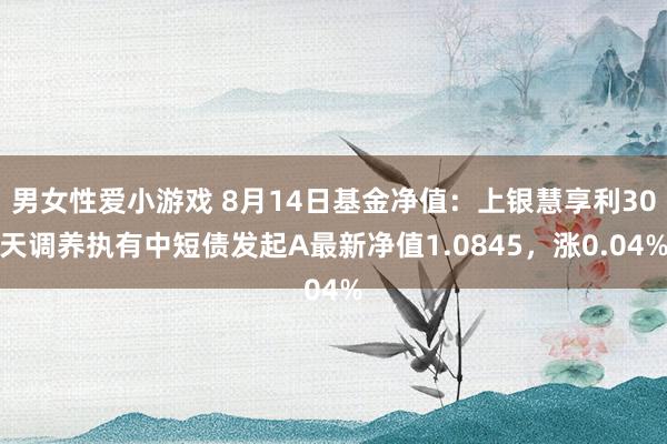 男女性爱小游戏 8月14日基金净值：上银慧享利30天调养执有中短债发起A最新净值1.0845，涨0.04%