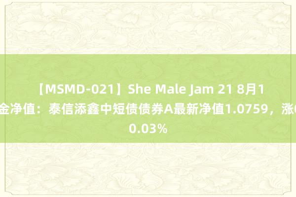 【MSMD-021】She Male Jam 21 8月14日基金净值：泰信添鑫中短债债券A最新净值1.0759，涨0.03%