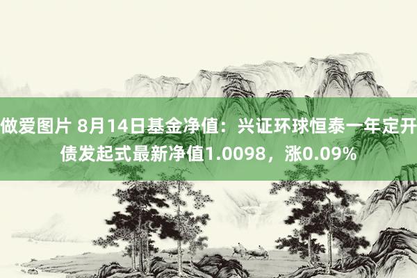 做爱图片 8月14日基金净值：兴证环球恒泰一年定开债发起式最新净值1.0098，涨0.09%