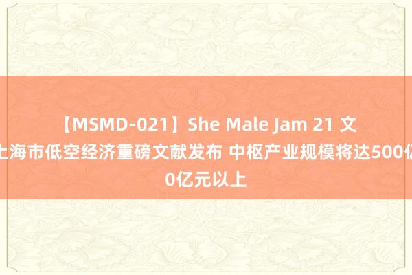 【MSMD-021】She Male Jam 21 文书了！上海市低空经济重磅文献发布 中枢产业规模将达500亿元以上