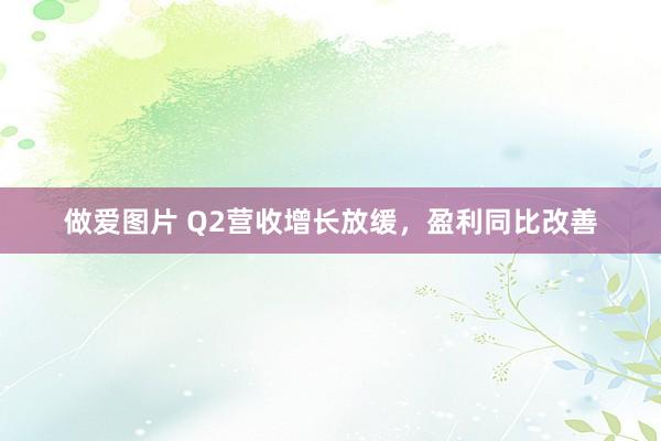 做爱图片 Q2营收增长放缓，盈利同比改善