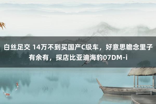 白丝足交 14万不到买国产C级车，好意思瞻念里子有余有，探店比亚迪海豹07DM-i