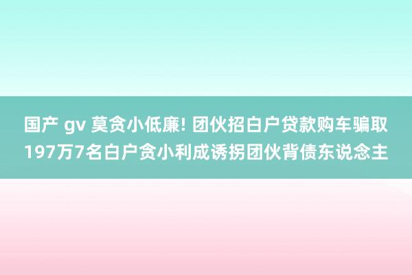 国产 gv 莫贪小低廉! 团伙招白户贷款购车骗取197万7名白户贪小利成诱拐团伙背债东说念主