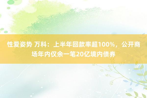 性爱姿势 万科：上半年回款率超100%，公开商场年内仅余一笔20亿境内债券