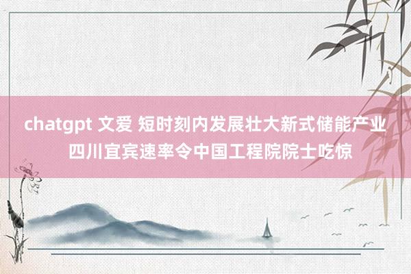 chatgpt 文爱 短时刻内发展壮大新式储能产业  四川宜宾速率令中国工程院院士吃惊