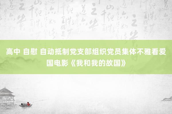 高中 自慰 自动抵制党支部组织党员集体不雅看爱国电影《我和我的故国》