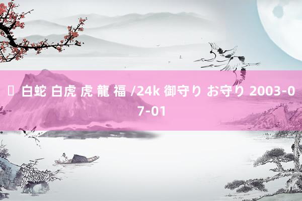 ✨白蛇 白虎 虎 龍 福 /24k 御守り お守り 2003-07-01