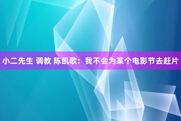 小二先生 调教 陈凯歌：我不会为某个电影节去赶片