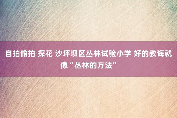 自拍偷拍 探花 沙坪坝区丛林试验小学 好的教诲就像“丛林的方法”